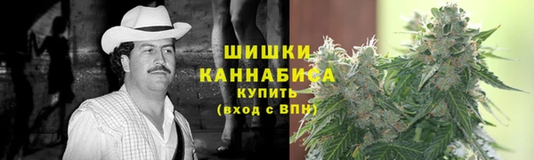 сатива Заречный