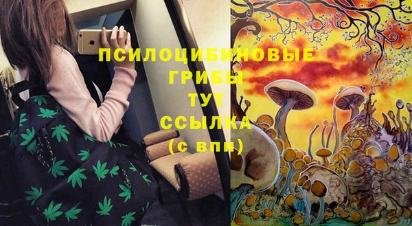 гашик Рославль